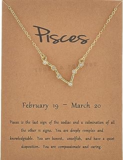 Young & Forever Rakhi Gift Friendship Day Gifts Special 18K Gold Plated Cubic Zirconia Pisces Necklace 12 Zodiac Sign Constellation Letter Pendant Necklace for Women Girls, 18" Birthday Gift
